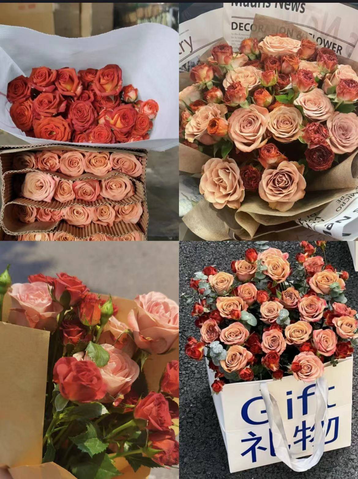10款泡泡玫瑰品种介绍，每一款都是既好看又好卖的品种！