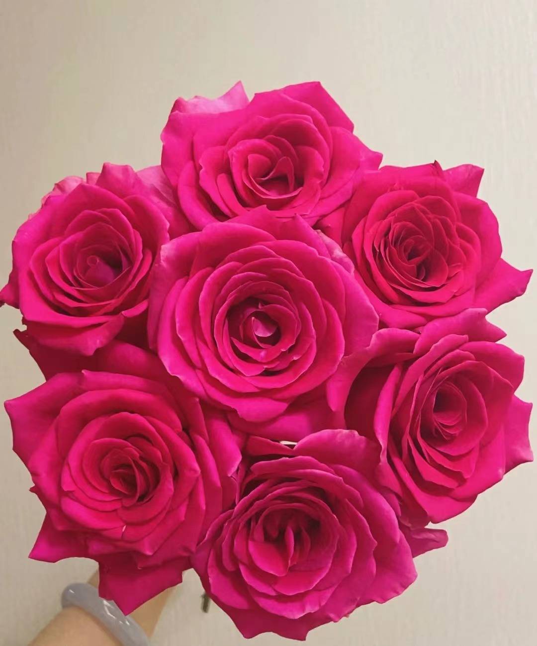 100朵玫瑰vol.14 | 弗洛伊德，兰蔻御用玫瑰，高级纯正的玫红色，花瓣厚实带有馥郁玫瑰香！ - 知乎
