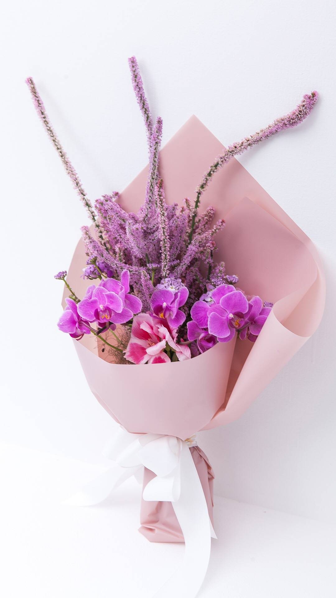 蝴蝶兰日式花束节日礼物小清新￥ 98.00已售:1件