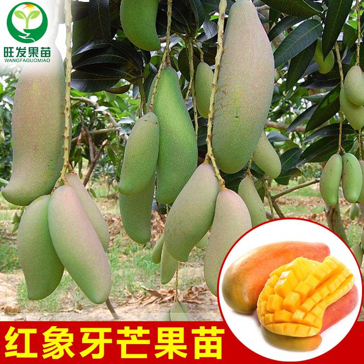 创业在线模拟商城