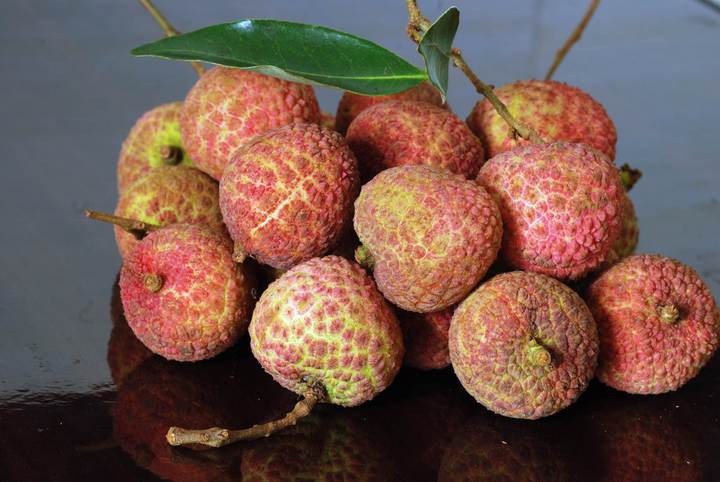 嘉兴荔枝 ￥30.00 已售:0件