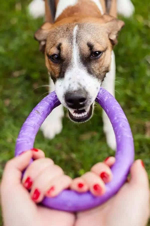 创业在线模拟商城