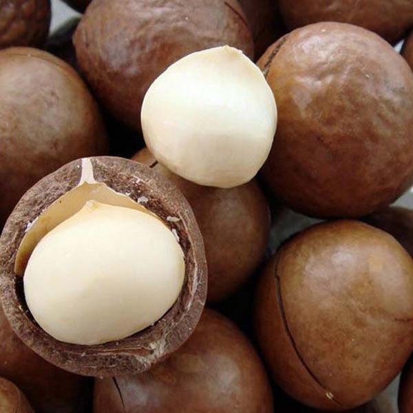 夏威夷果新货原味250g包邮奶油味散装送开口器罐装零食批美国坚果