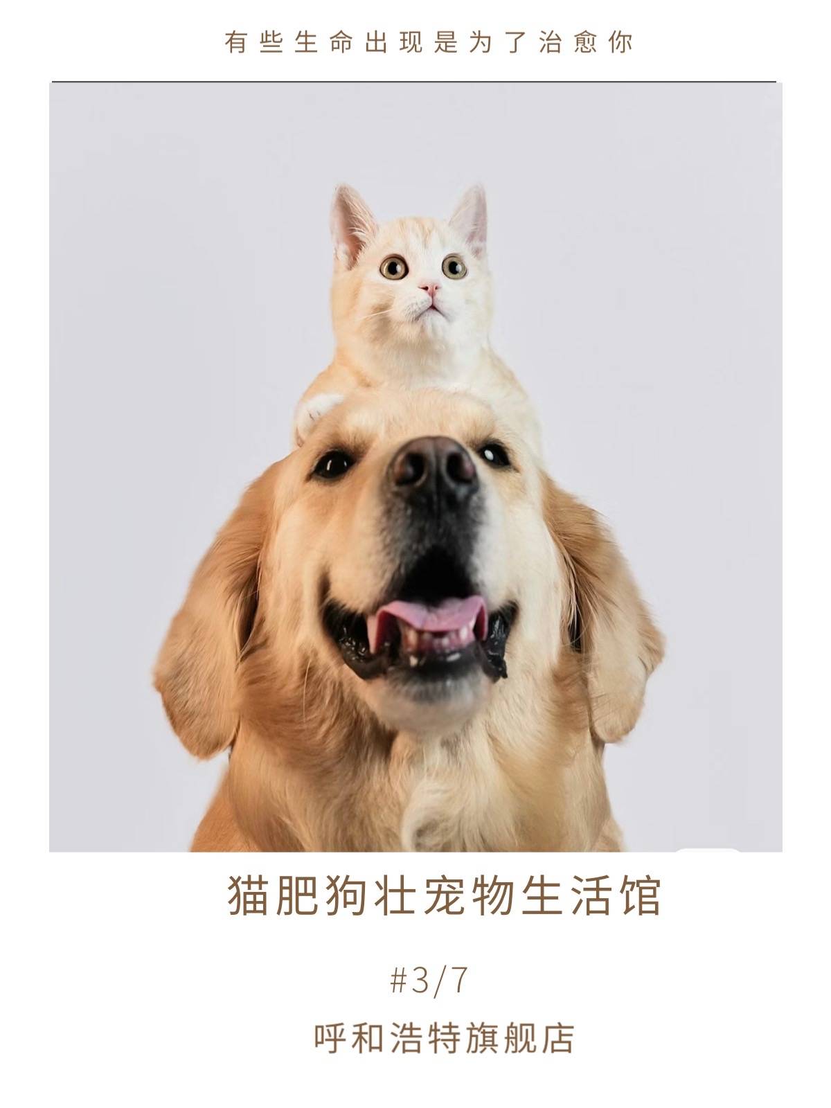 创业在线模拟商城