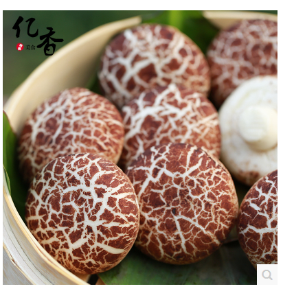 美拉井红糖蘑菇包叉烧包核桃包营养早餐包面食酒店广式点心400g包.