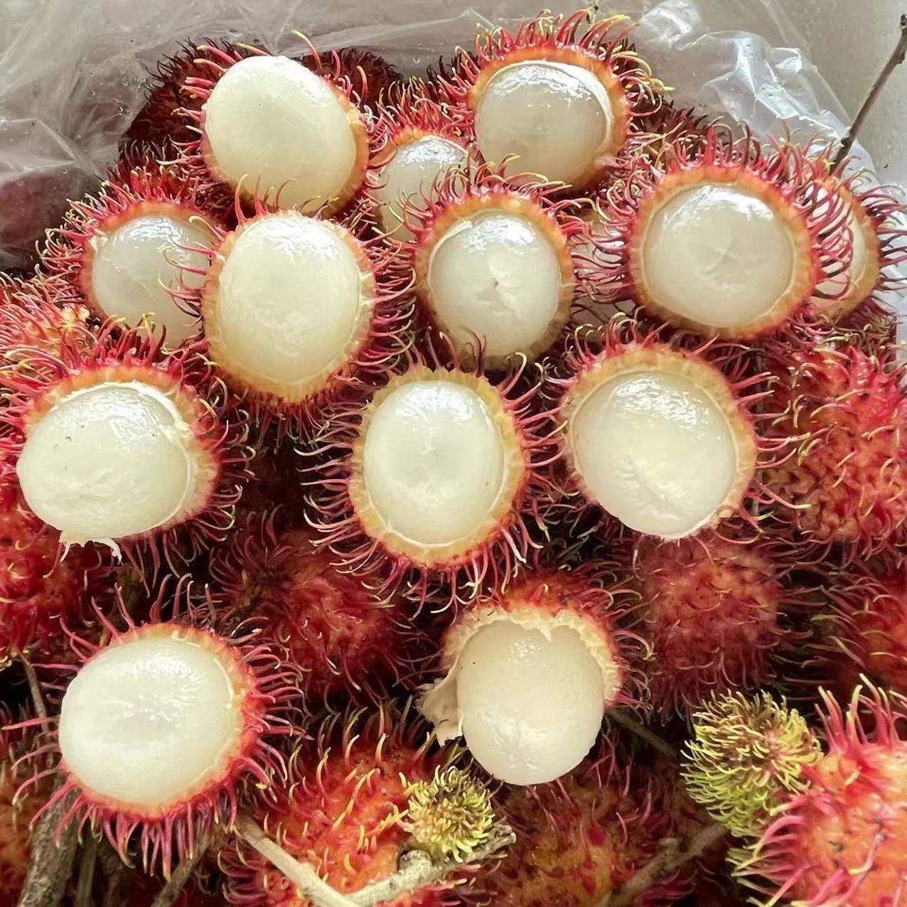 创业在线模拟商城